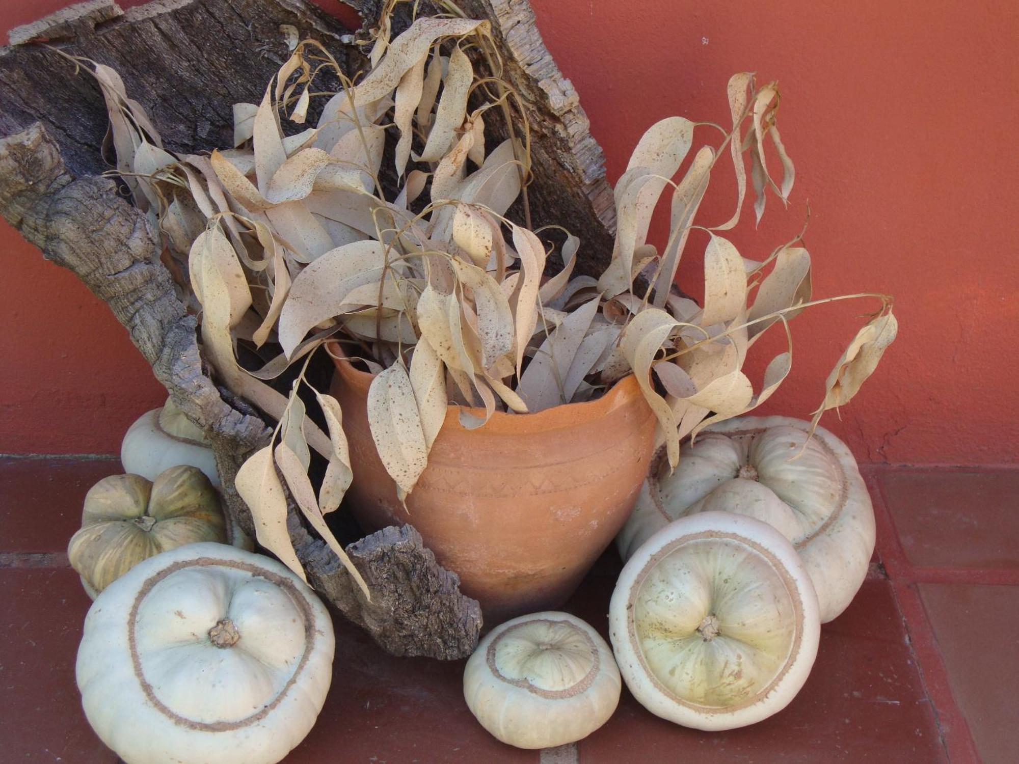 Verdemar Cercal do Alentejo Eksteriør billede