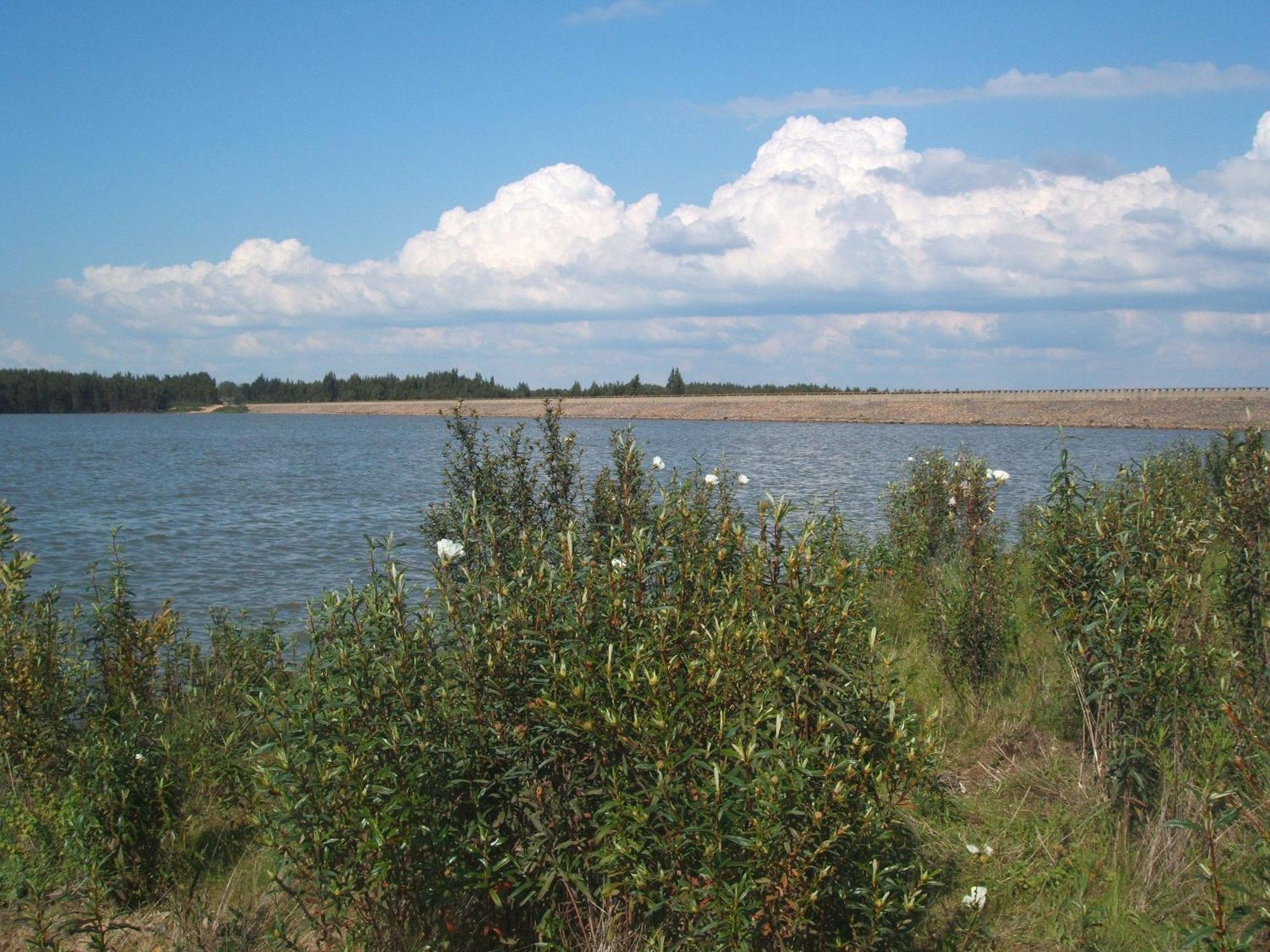 Verdemar Cercal do Alentejo Eksteriør billede